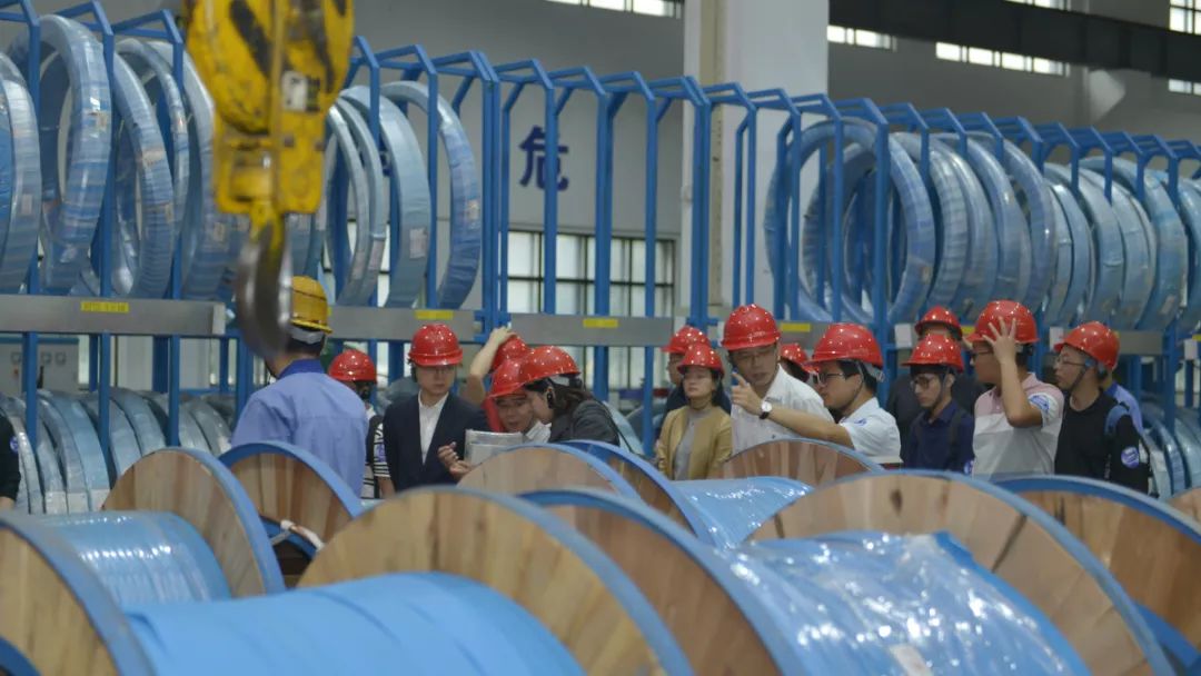 1567502851275801IQdw.jpg 9.jpg