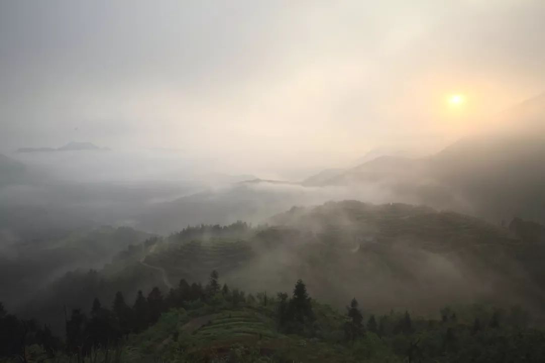 1568852611363427RlvN.jpg 6.jpg