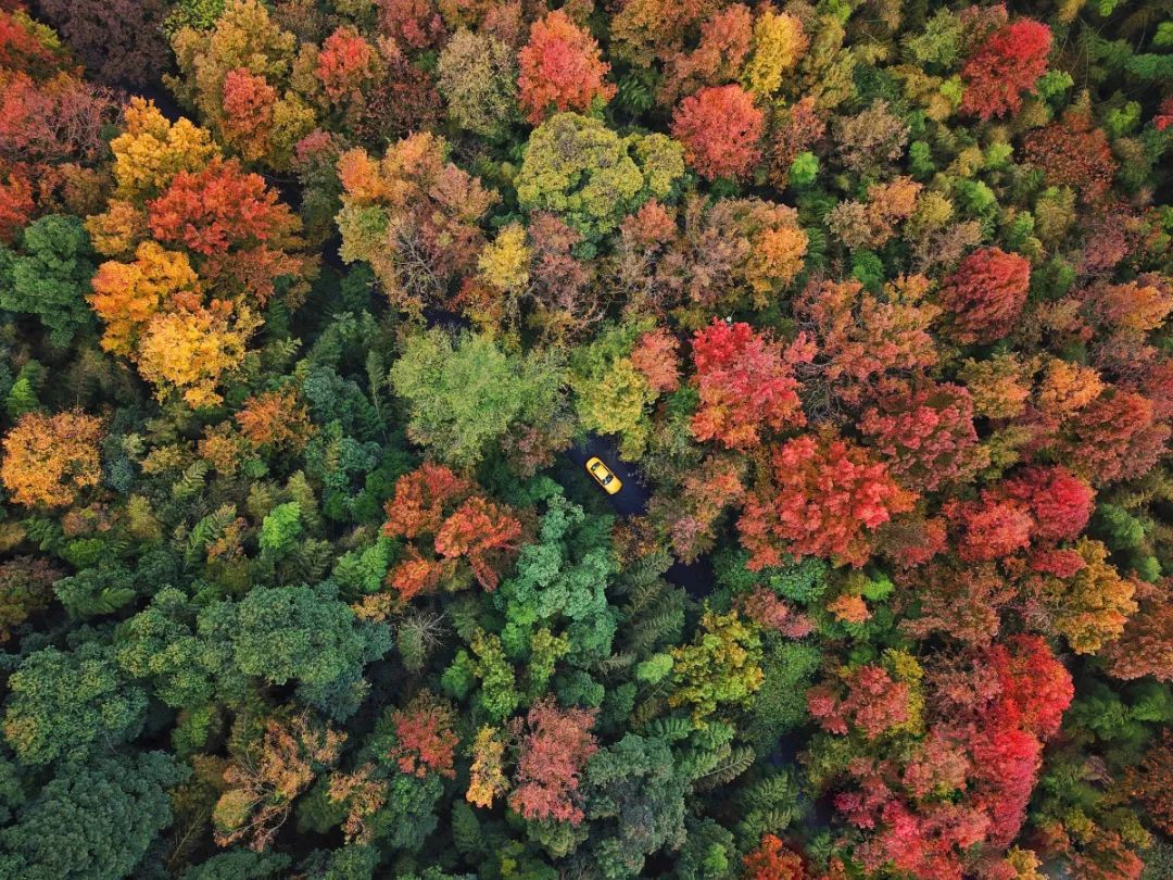 1568852619668222W1Dj.jpg 7.jpg