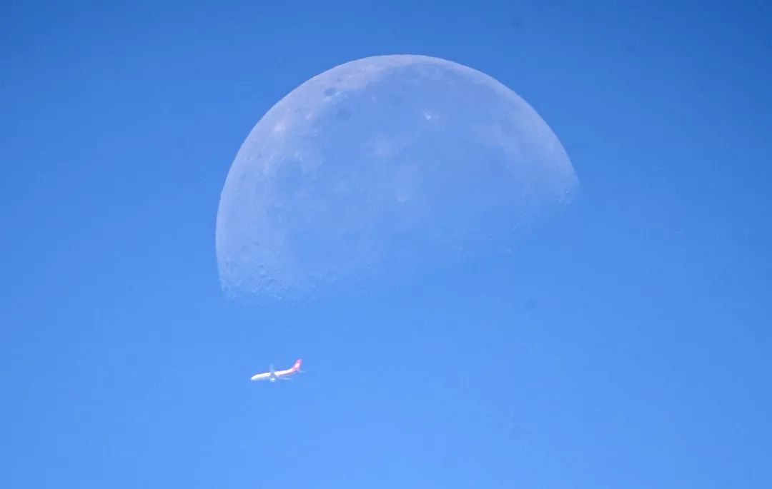 15688526307110585ZfH.jpg 8.jpg