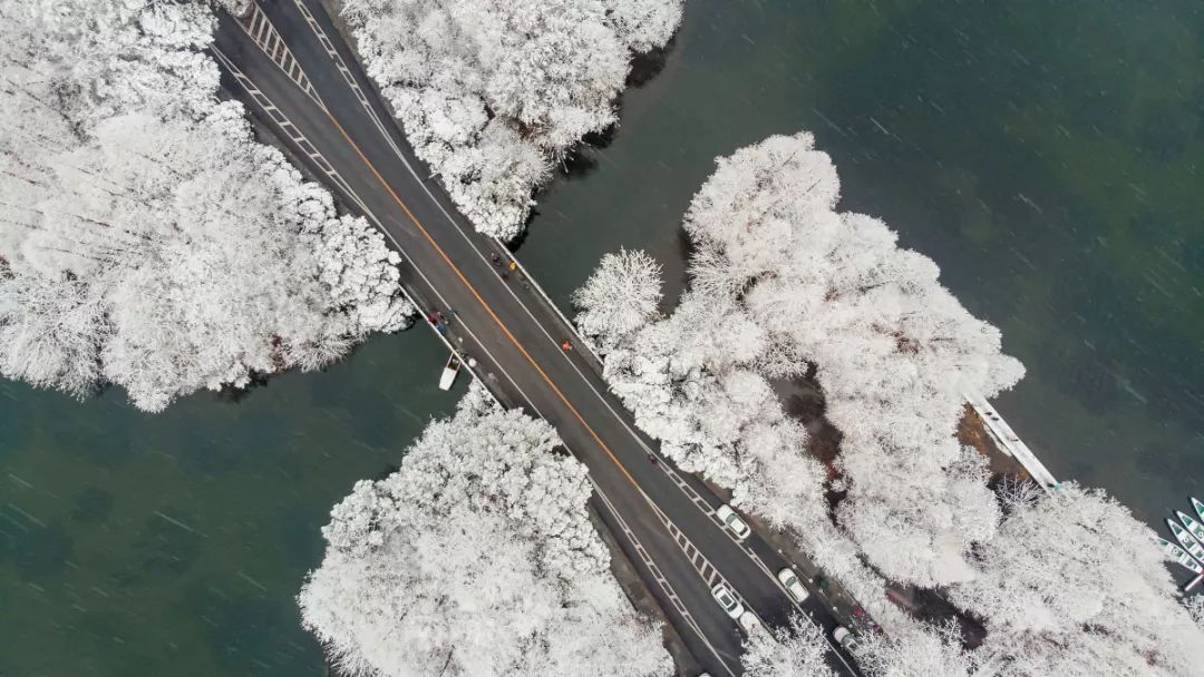 15688526582799874SBb.jpg 11.jpg