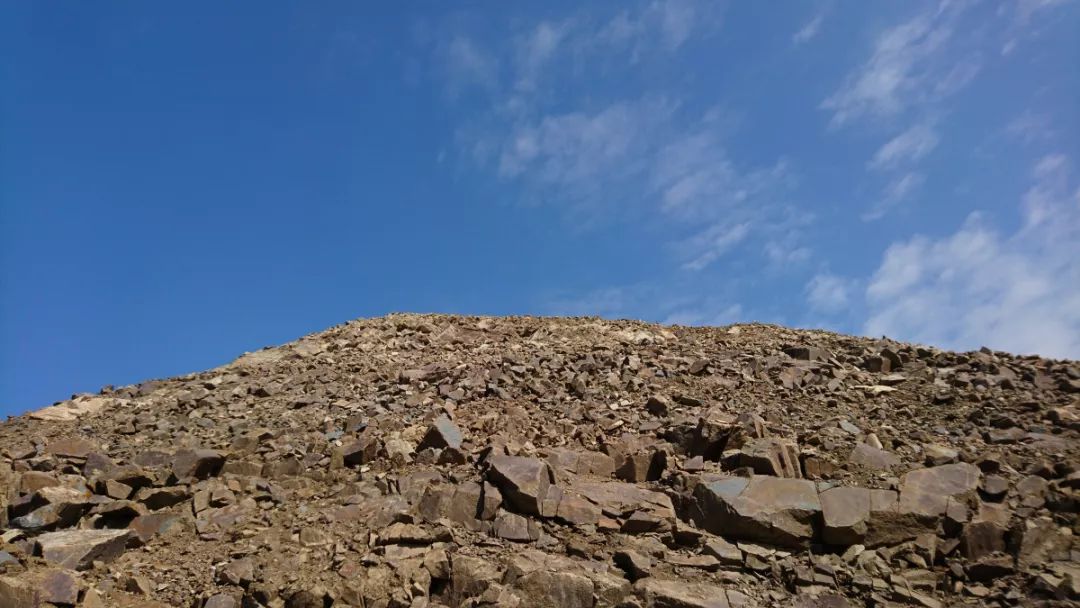 15688526734777952wJz.jpg 12.jpg