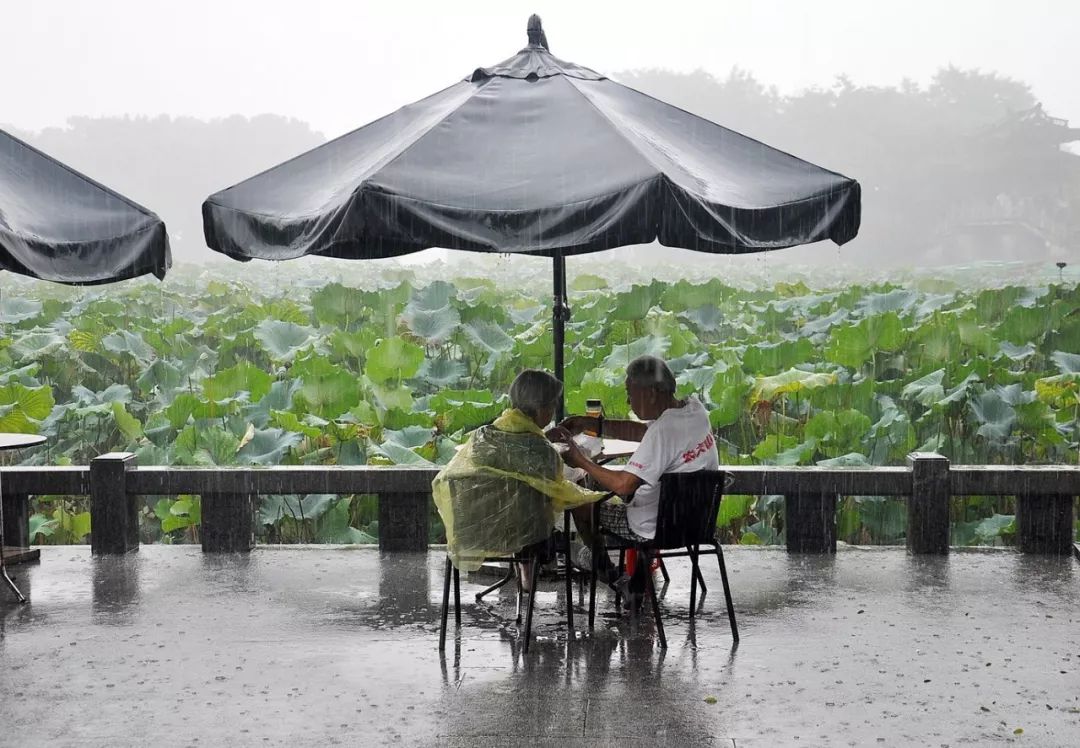 1568852722218820awQ2.jpg 15.jpg