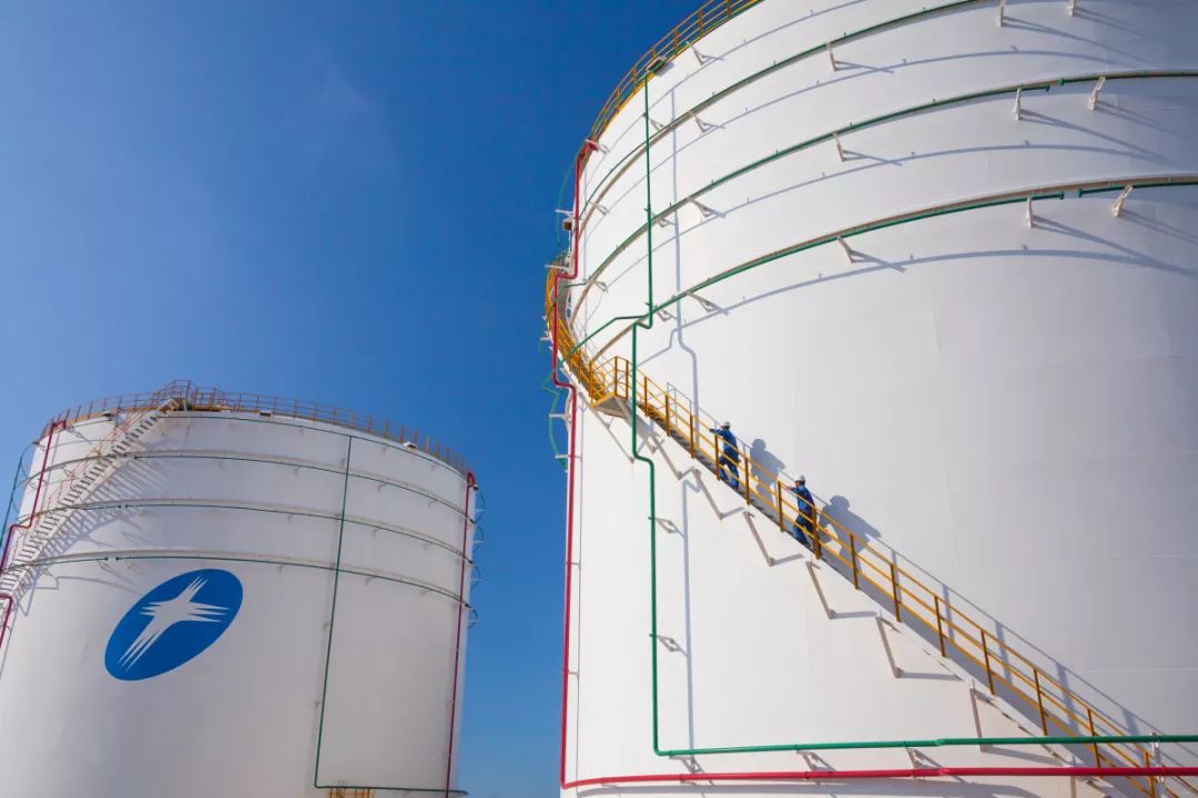 1568852806413836Mdhn.jpg 22.jpg