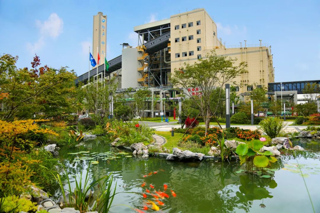 1568852874504190l1zx.jpg 28.jpg