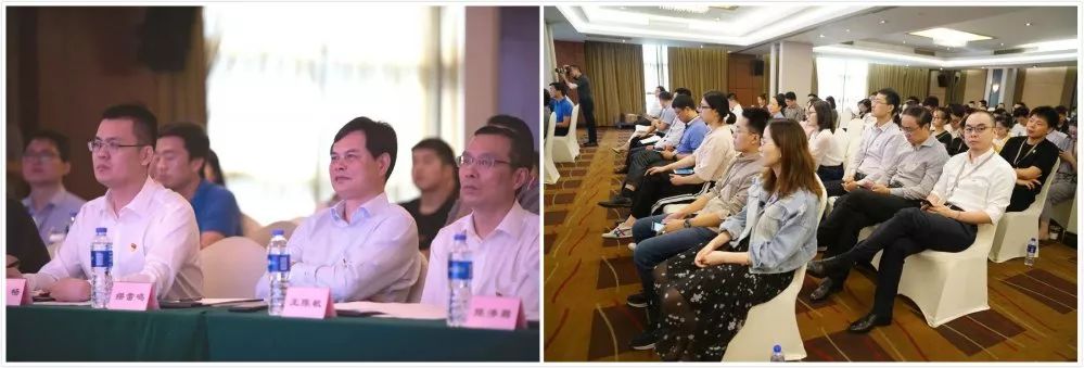 1569373167409307pu3Y.jpg 2.jpg