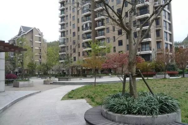 1571027734369522xGq4.jpg 8.jpg